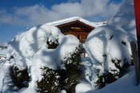 Haus Andrea - Wildschönau - Schnee