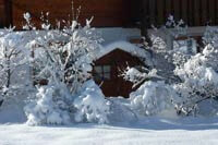 Haus Andrea - Wildschönau - Schnee